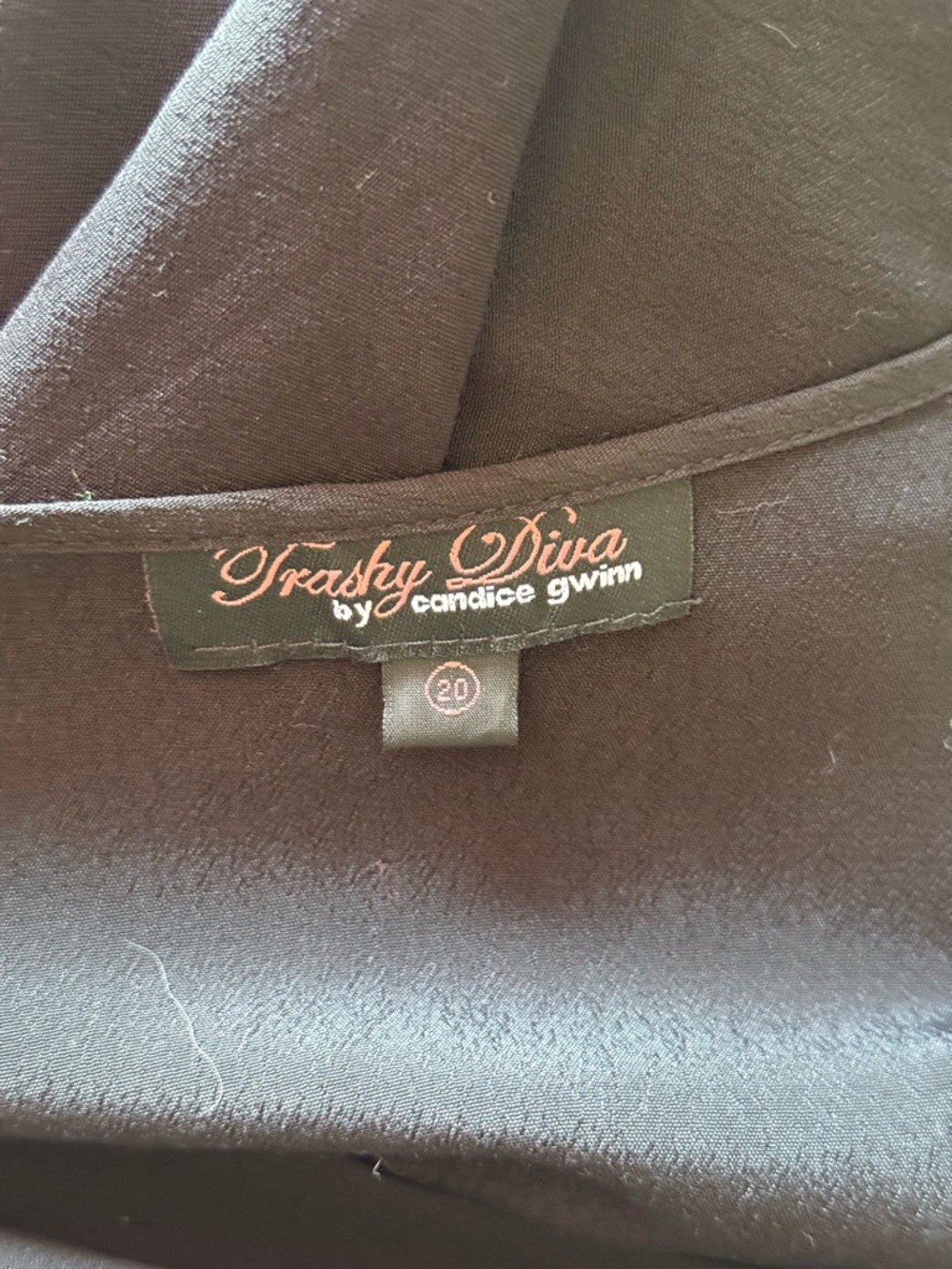 Trashy Diva Black “Charlottes Web” Maxi Dress with Spiderweb Accents - Picture 7 of 8